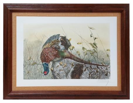 Griffon Korthals met fazant