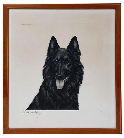 Groenendaeler 1938 115/500