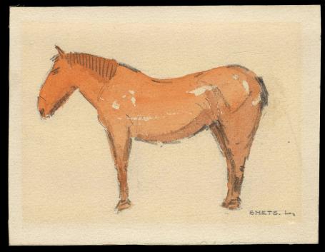 Aquarel, het paard