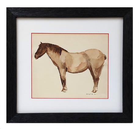 Aquarel, het boerenpaard