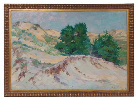 Duinen aan de Belgische kust