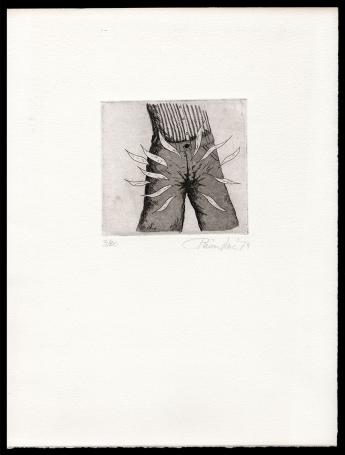 Het in zijn broek doen 1974 3/20