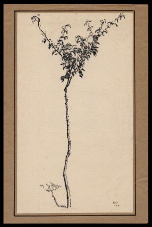 Pentekening, boompje 1942