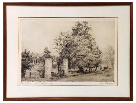 Oude lindeboom - Mendonk (8/50)