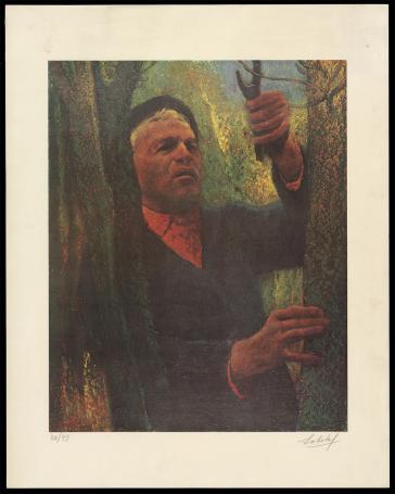 De boomverzorger 26/99