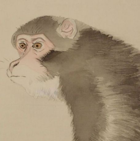 Monkey on silk