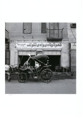 Egypt, koets aan de Wady Elmelouk Club