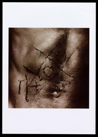 Automutulation OXO C-Print