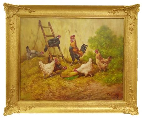 Pronkende haan met kippen