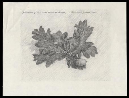 Tekening uit 1985 van de Belgische tekenaar Paul Van Dessel kopen