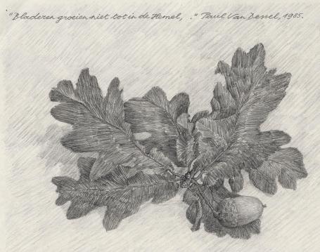 Potloodtekening van de Antwerpenaar Paul Van Dessel kopen