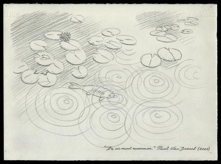 De vis moet zwemmen 2001