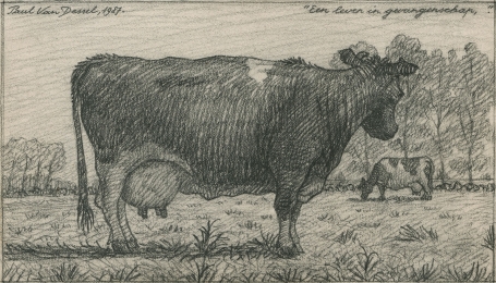 Tekening van de Belgische kunstenaar Paul Van Dessel kopen