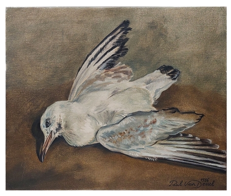 Ziel in afwachting 1 1986