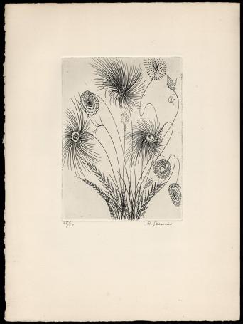 Ets, bloemenweelde 38/50