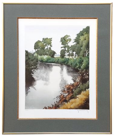 grote litho van Roger Hebbelinck kopen