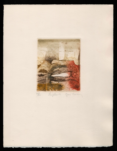 La plante 1972 46/50