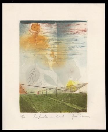 Les feuilles dans le ciel 44/60