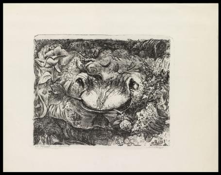 De spotter 5de staat