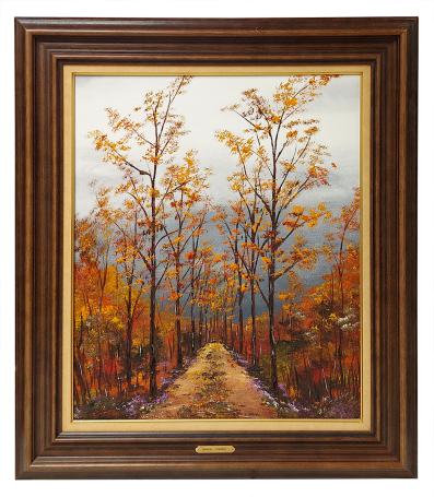 Wandelpad in het jonge bos