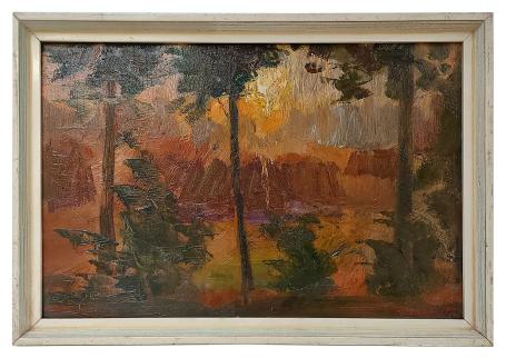 Doorbrekende zon aan de bosrand