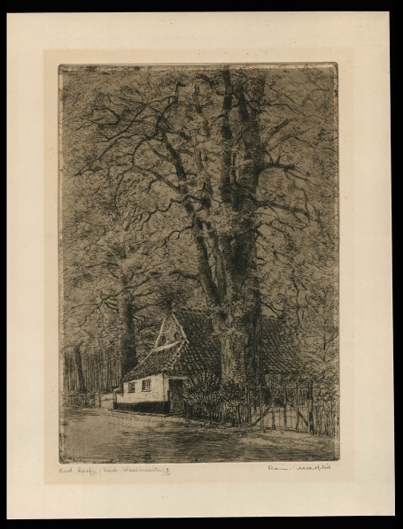 Oud hoefje (Heide - Waasmunster) 9/50