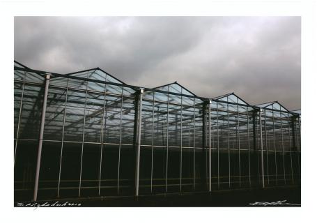 Z. Nl. glashoek 2010 C-Print