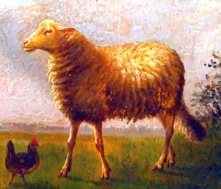 Schaap met kipjes