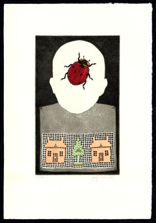 Het kind en de huizen 15/50