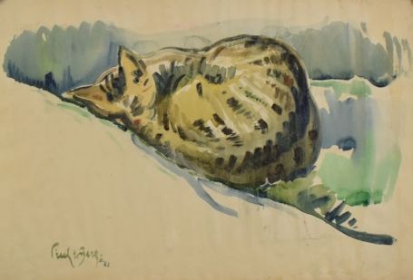 Slapende kat