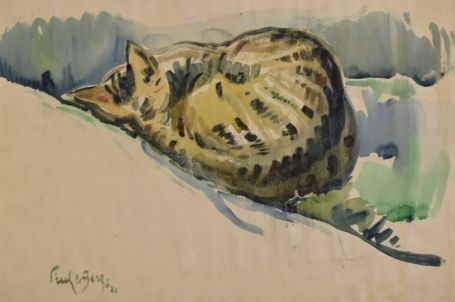 Slapende kat
