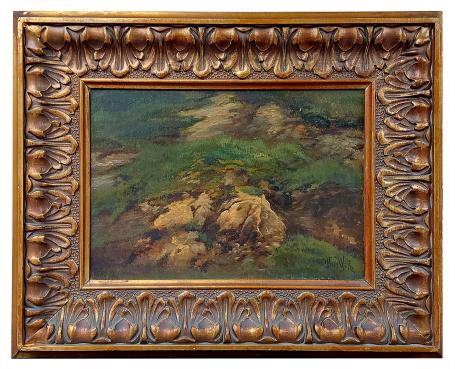 De rots in het landschap