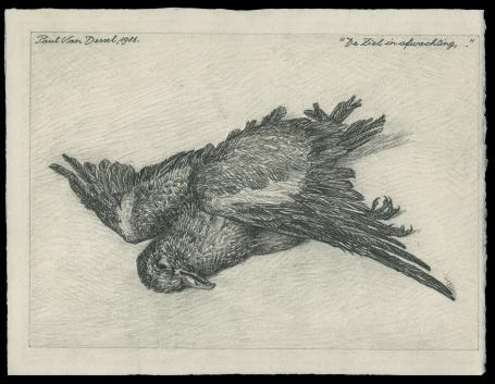 een tekening van de Belgische kunstenaar Paul Van Dessel kopen uit 1986