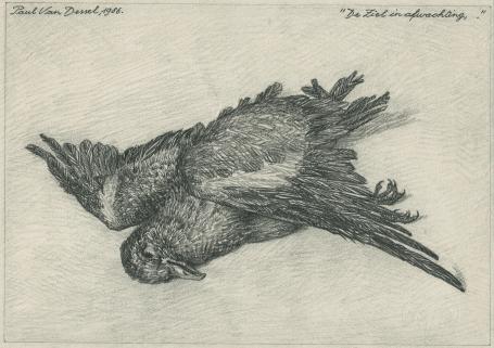 Potloodtekening van de Antwerpse kunstenaar Paul Van Dessel kopen