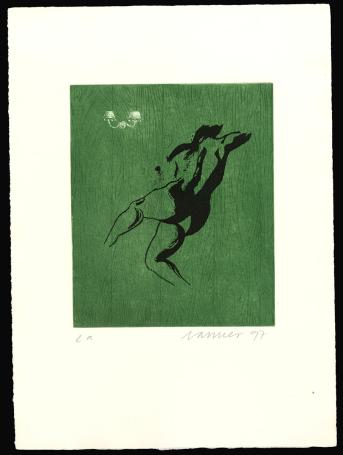 De sprong naar het lichtkapje (groen) 1997 e.a.