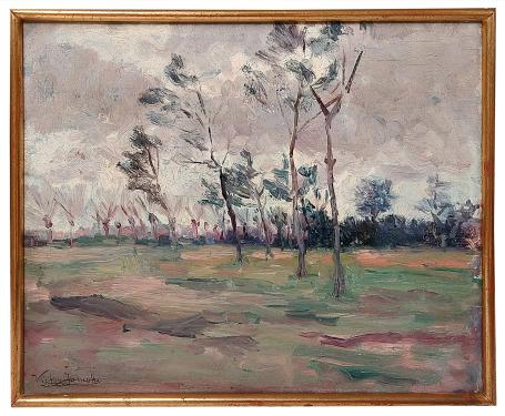 Bomen en knotwilgen in een landschap