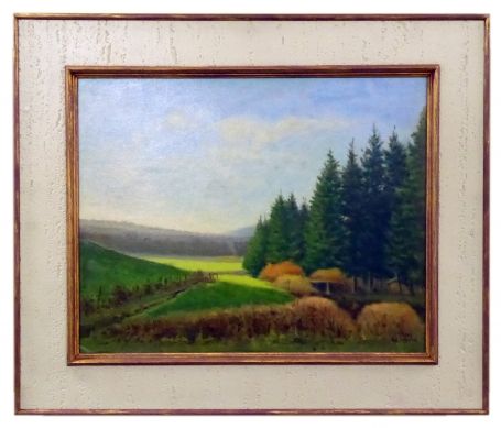 Vlaams landschap langs dennenbos 1991