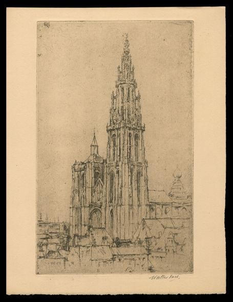 De Antwerpse kathedraal 1905