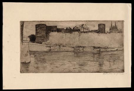 Het kasteel van Angers