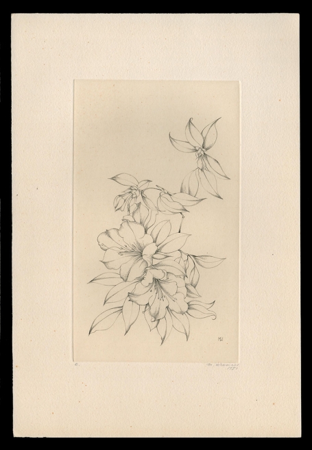 Rhododendron fragrantissima E 1981