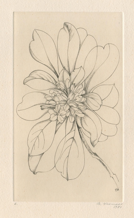 Een gesigneerde gravure van Margot Weemaes uit 1981