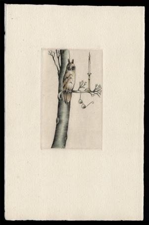 Wat baten kaars en bril als de uil niet zien wil